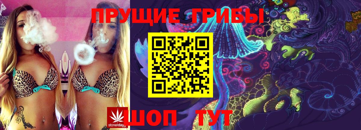Псилоцибиновые грибы Psilocybe  Вход с VPN  продажа наркотиков  Добрянка 
